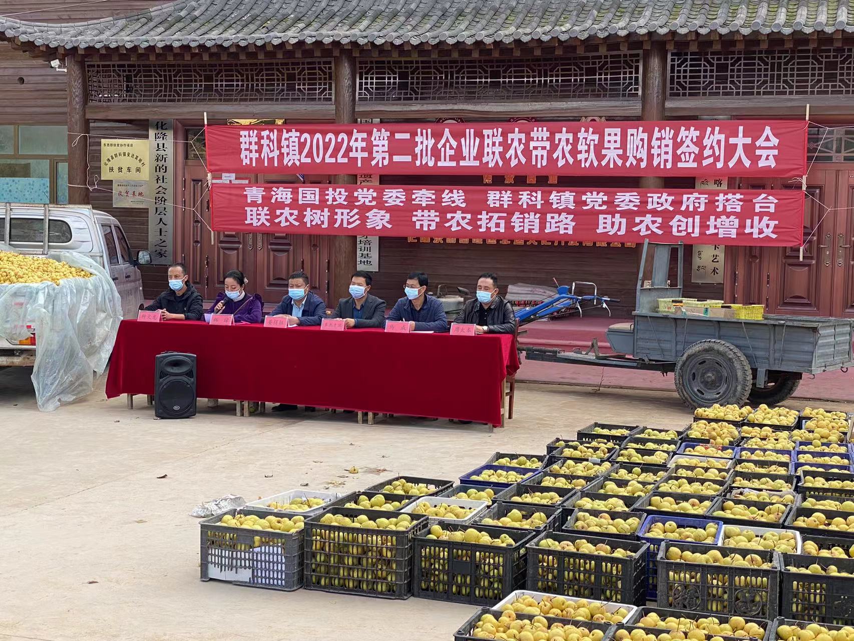 青海国投驻乙沙二村工作队积极帮助解决农产品滞销